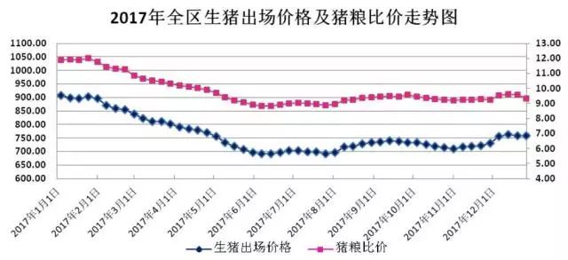 生猪今日价格最新,生猪今日价格最新动态，市场走势分析与预测