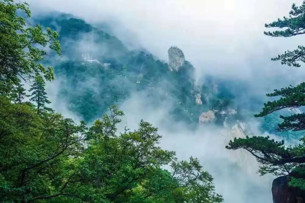 最新尧山免门票,最新尧山免门票政策，旅游新篇章的开启