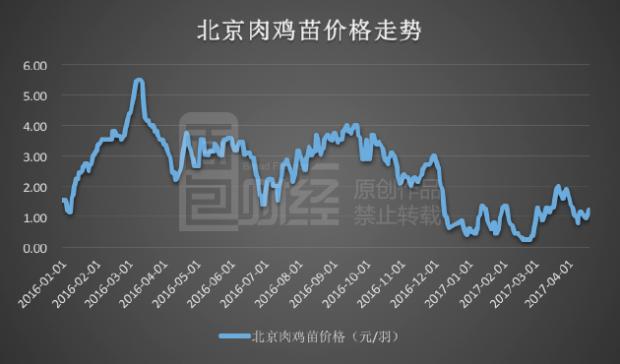 鸡价网最新,鸡价网最新动态分析