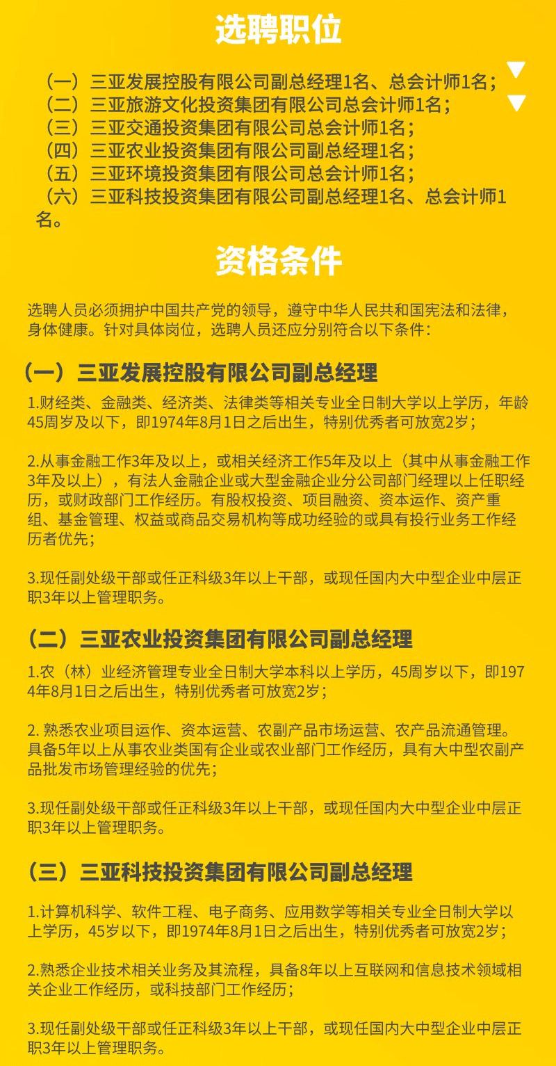 海南最新招聘信息,海南最新招聘信息概览