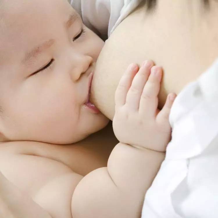 最新母乳系列,最新母乳系列，探索母乳的营养与重要性