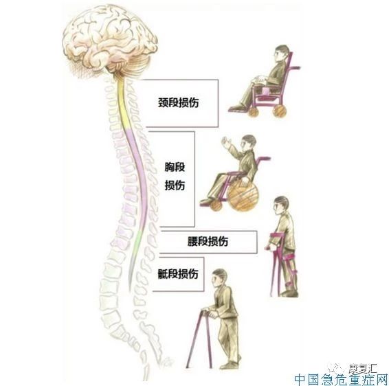 生龙活虎 第9页