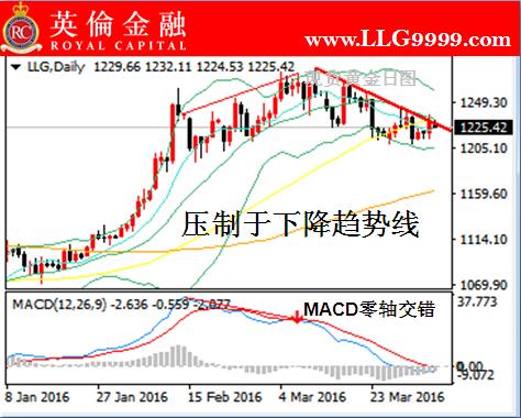 最新理财收益排行,最新理财收益排行，洞悉市场趋势，把握投资机会