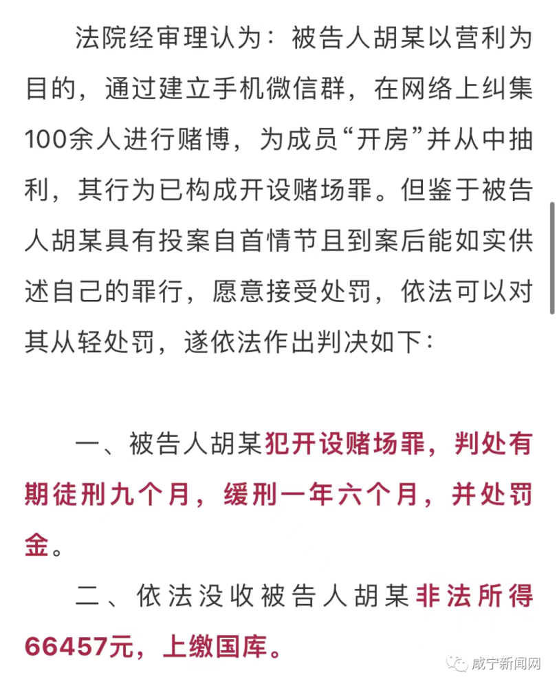 一肖一码100%,一肖一码100%，揭示背后的违法犯罪问题