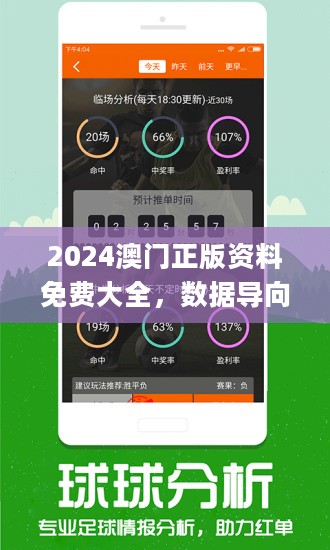 2024澳门正版免费精准大全,澳门正版免费精准大全，探索未来的幸运之门（2024版）