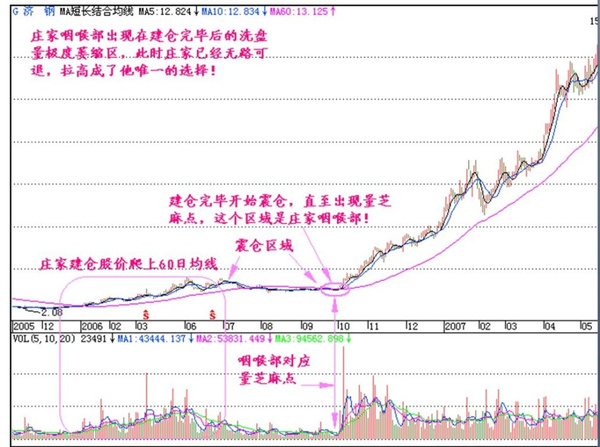 三码中特的资料,探索三码中特的奥秘与资料研究