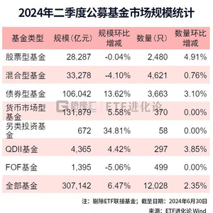 新澳资料大全2024年,新澳资料大全2024年概览