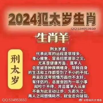 管家婆204年资料一肖配成龙,探索管家婆与生肖龙，204年的独特联系与奥秘