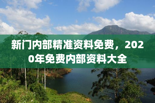 新门内部资料精准大全更新章节列表,新门内部资料精准大全，更新章节列表与深度解析