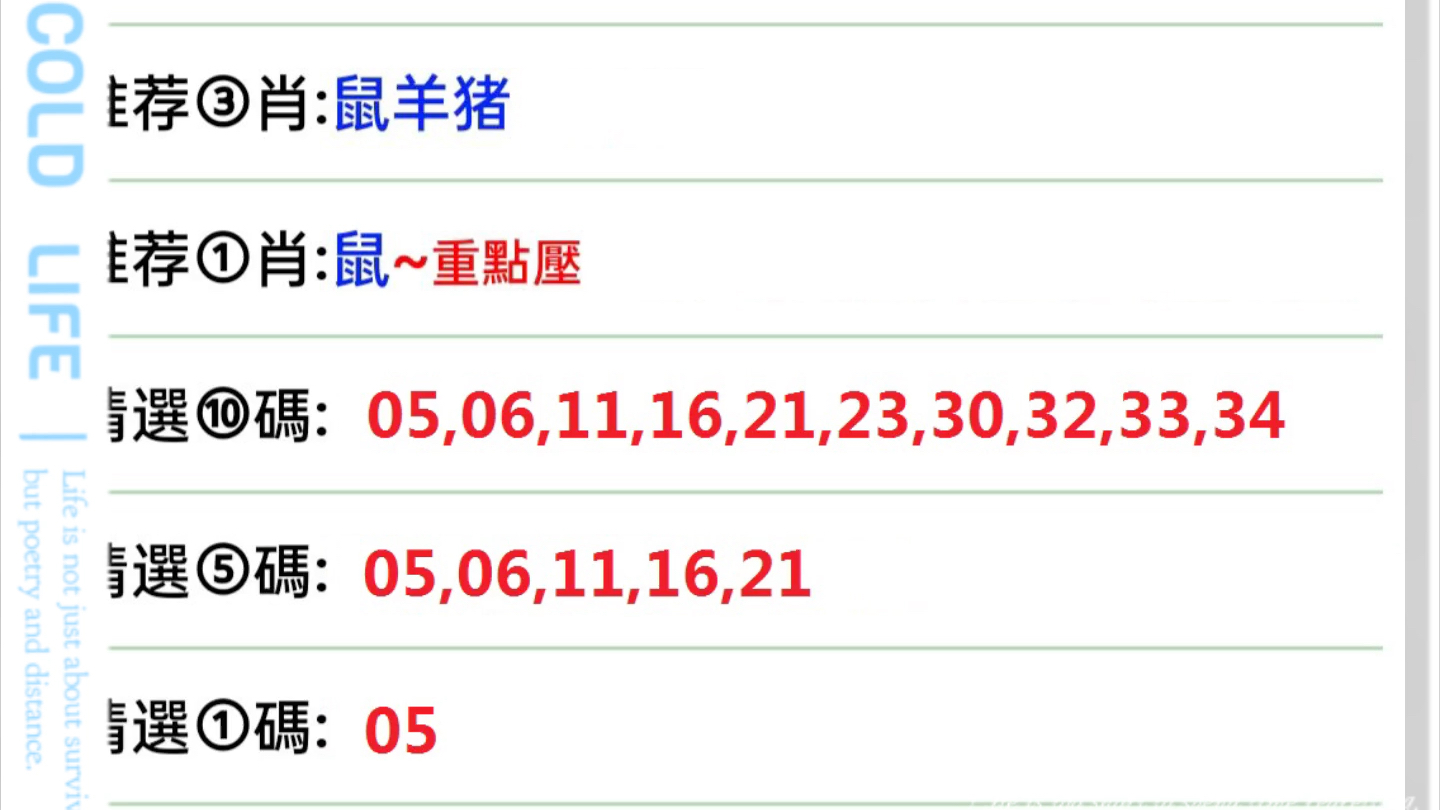 2025年2月 第185页