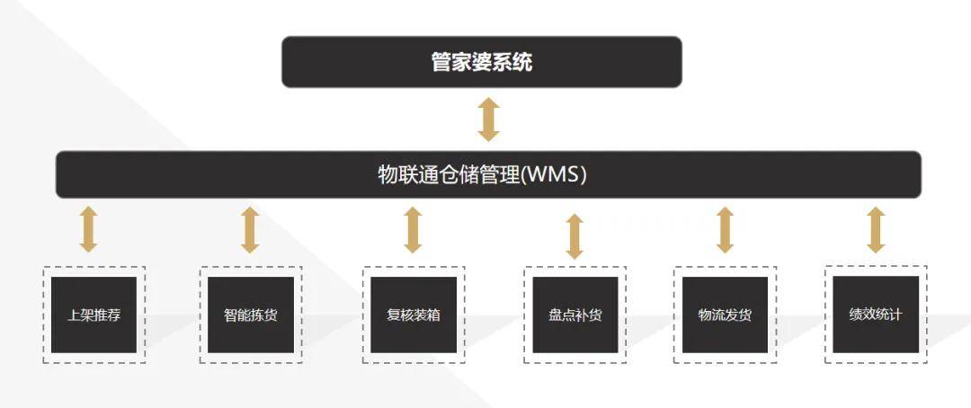 2025管家婆一码一肖资料,关于2025管家婆一码一肖资料的研究与探讨