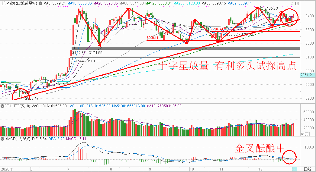 2025今晚特马开什么,关于今晚特马开什么的研究与预测——走向未来的视角（以2025年为背景）