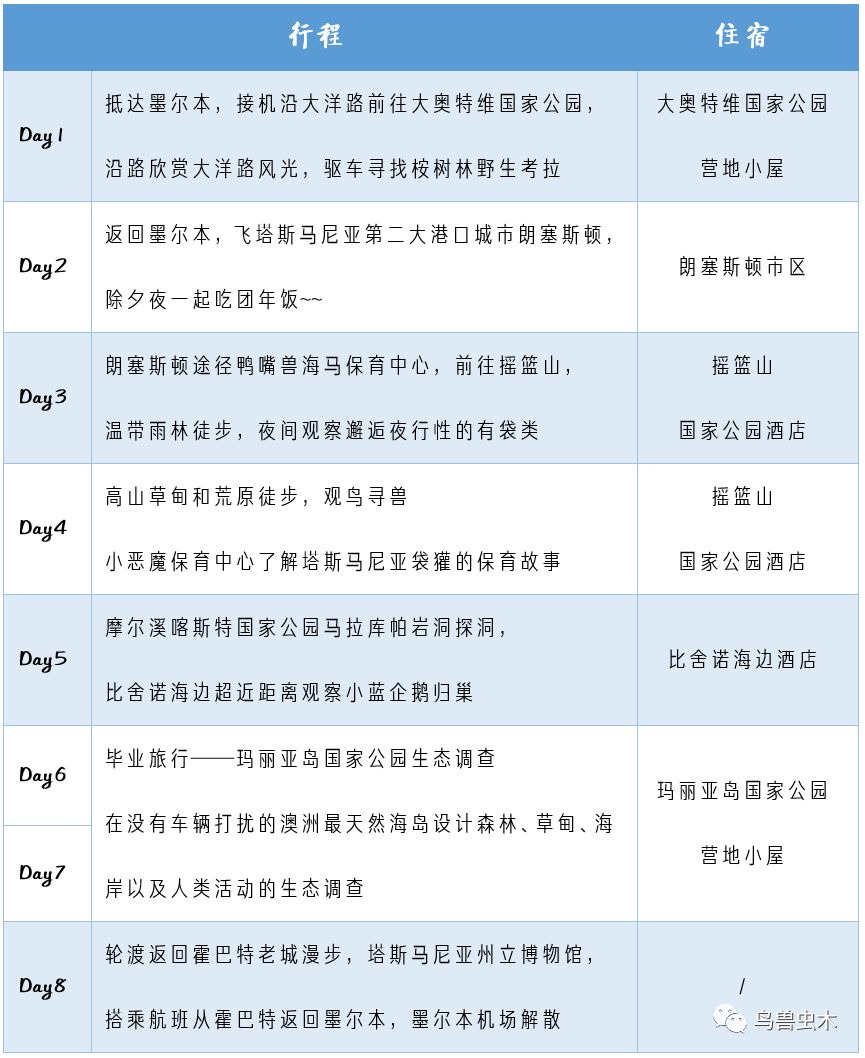 新澳开奖记录今天结果,新澳开奖记录今天结果，探索彩票背后的魅力与挑战